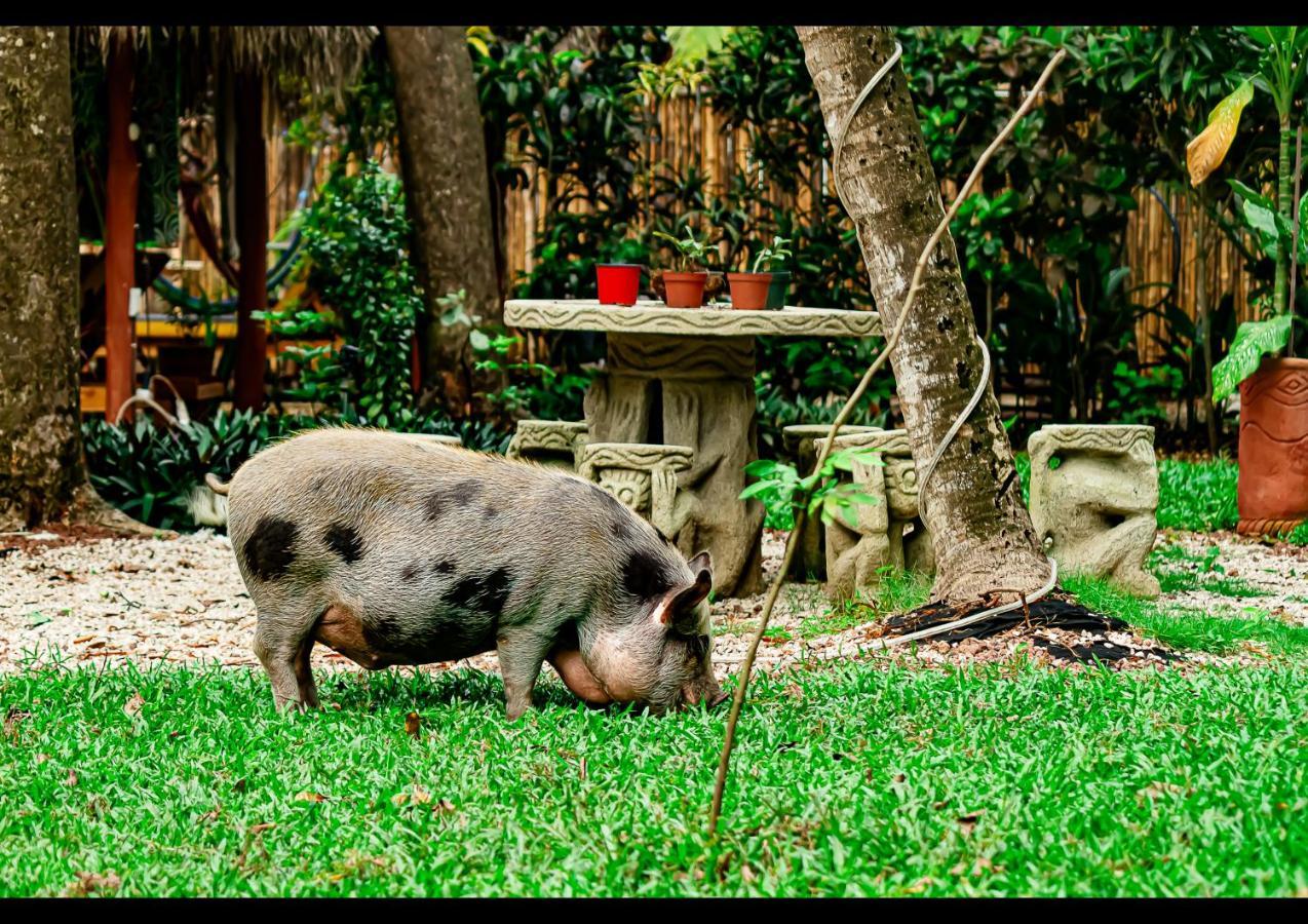 Villas Pura Vibra Potrero  Esterno foto